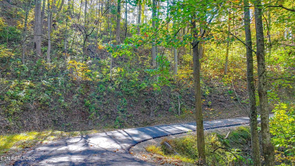 Photo of Emerald Springs Loop, Sevierville, TN 37862 (MLS # 1332556)