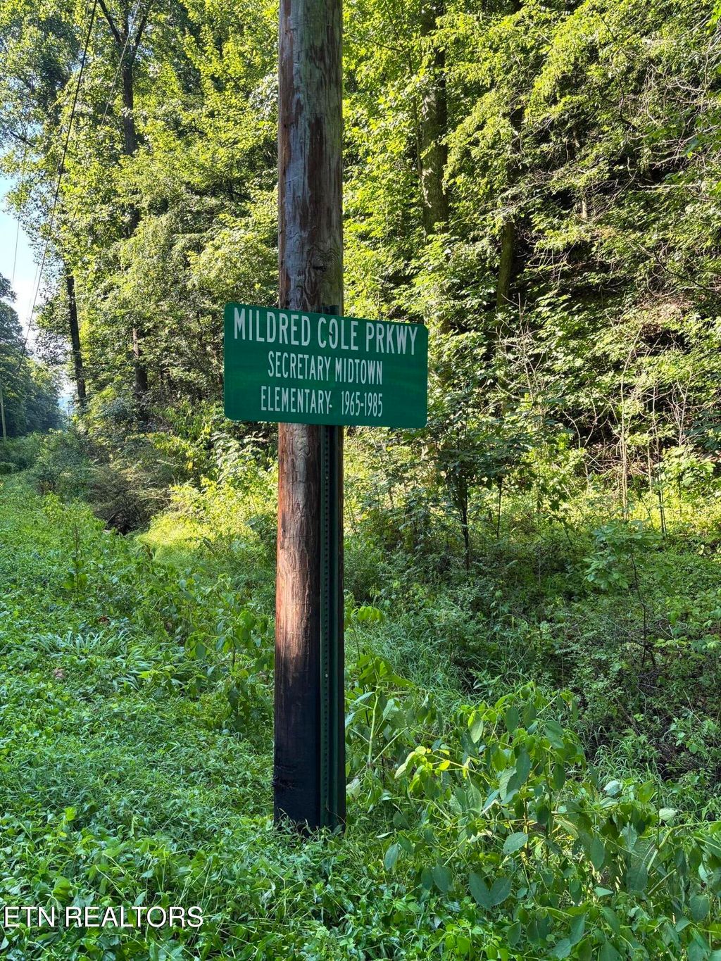 Photo of Ruritan Rd, Harriman, TN 37748 (MLS # 1306925)