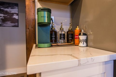 Tiny photo for 1113 Mathis Hollow Rd, Gatlinburg, TN 37738 (MLS # 1328719)