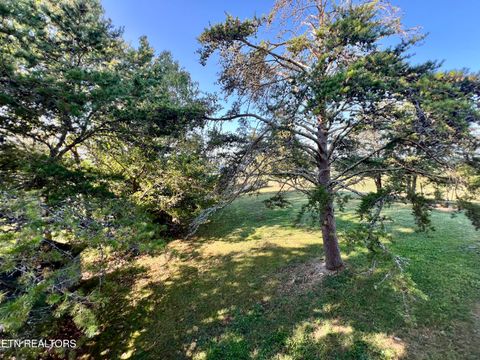 Tiny photo for 934 Flat Creek Rd, Sevierville, TN 37876 (MLS # 1316909)