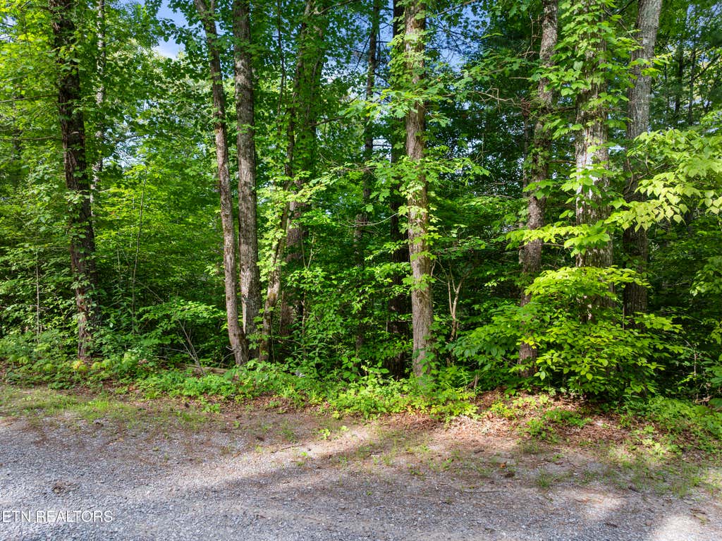 Photo of TBD Grouse Top (LOT 3) Rd, Walland, TN 37886 (MLS # 1345838)
