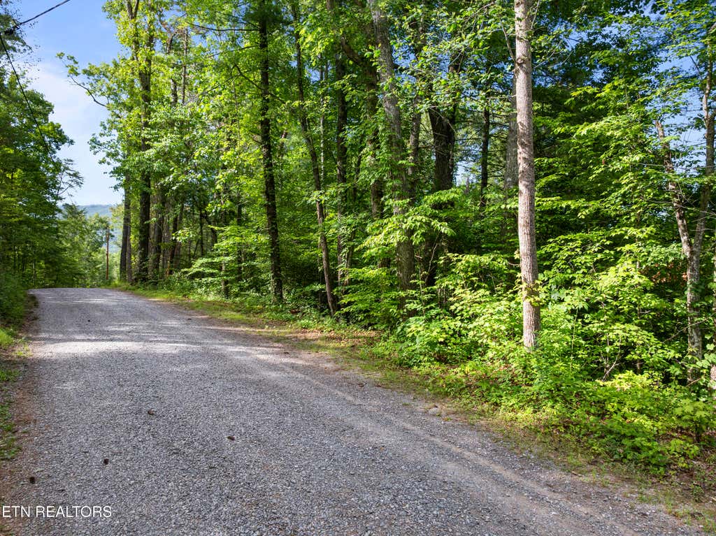Photo of TBD Grouse Top (LOT 3) Rd, Walland, TN 37886 (MLS # 1345838)