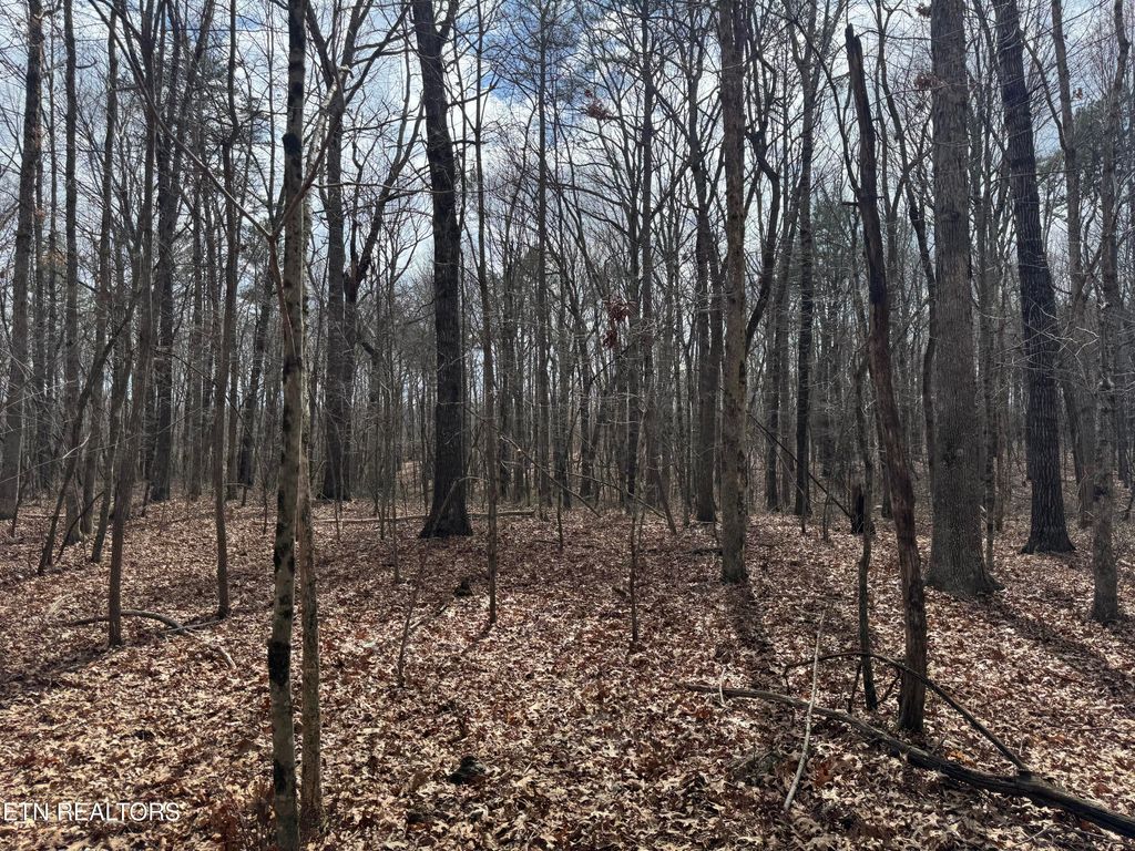 Photo of 1261 Roanoke Rd, Jamestown, TN 38556 (MLS # 1331926)