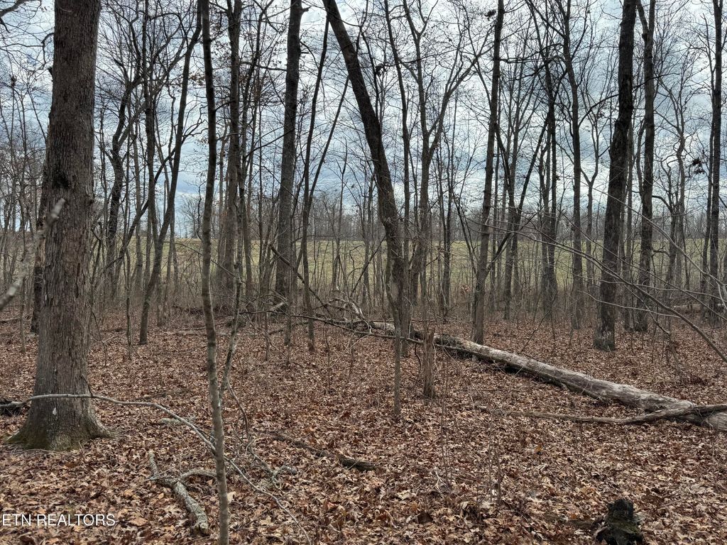 Photo of 1261 Roanoke Rd, Jamestown, TN 38556 (MLS # 1331926)