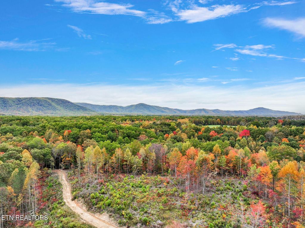 Photo of Davis Rd., Sunbright, TN 37872 (MLS # 1311166)