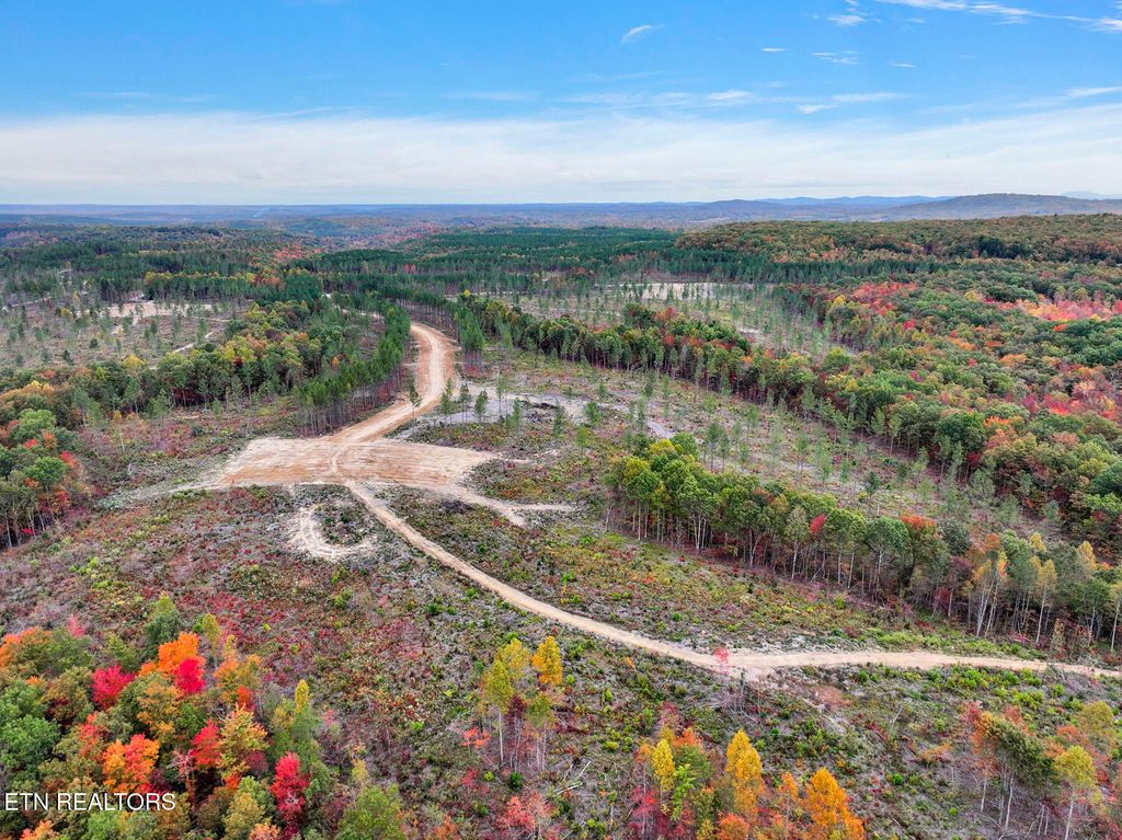 Photo of Davis Rd., Sunbright, TN 37872 (MLS # 1311166)
