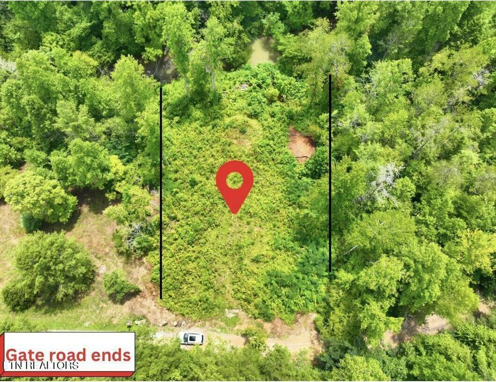 Photo of Creek Hollow Way, Sevierville, TN 37876 (MLS # 1286600)