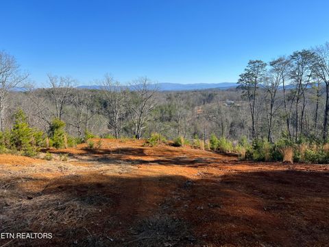 Photo of Griffith Branch Rd, Madisonville, TN 37354 (MLS # 1328943)