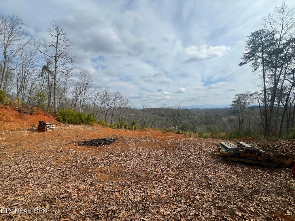 Photo of Griffith Branch Rd, Madisonville, TN 37354 (MLS # 1328943)