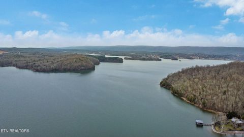 Tiny photo for 165 Lakeshore Court, Spring City, TN 37381 (MLS # 1330035)
