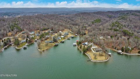 Tiny photo for 165 Lakeshore Court, Spring City, TN 37381 (MLS # 1330035)