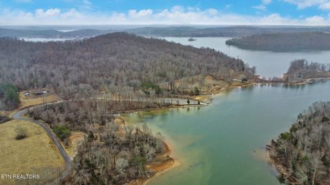 Tiny photo for 165 Lakeshore Court, Spring City, TN 37381 (MLS # 1330035)