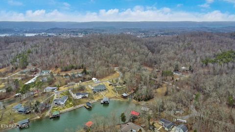 Tiny photo for 165 Lakeshore Court, Spring City, TN 37381 (MLS # 1330035)