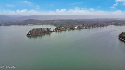 Tiny photo for 165 Lakeshore Court, Spring City, TN 37381 (MLS # 1330035)