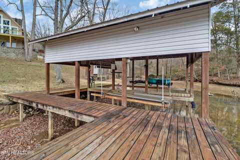 Tiny photo for 165 Lakeshore Court, Spring City, TN 37381 (MLS # 1330035)