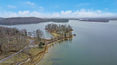 Tiny photo for 165 Lakeshore Court, Spring City, TN 37381 (MLS # 1330035)