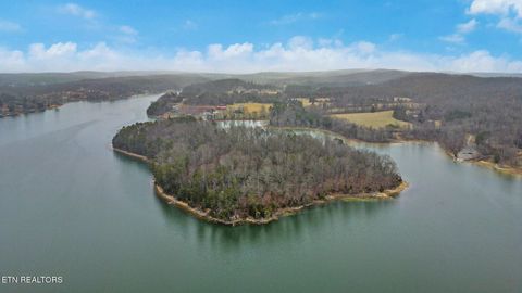 Tiny photo for 165 Lakeshore Court, Spring City, TN 37381 (MLS # 1330035)