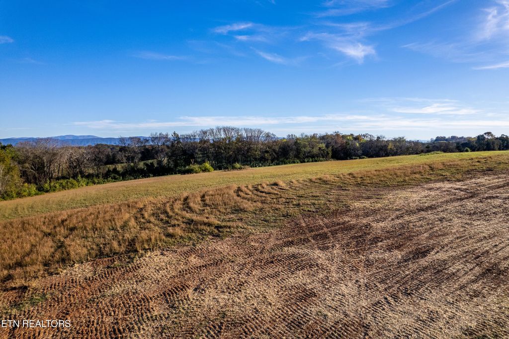 Photo of 351 Meadow Rd, Greenback, TN 37742 (MLS # 1284173)