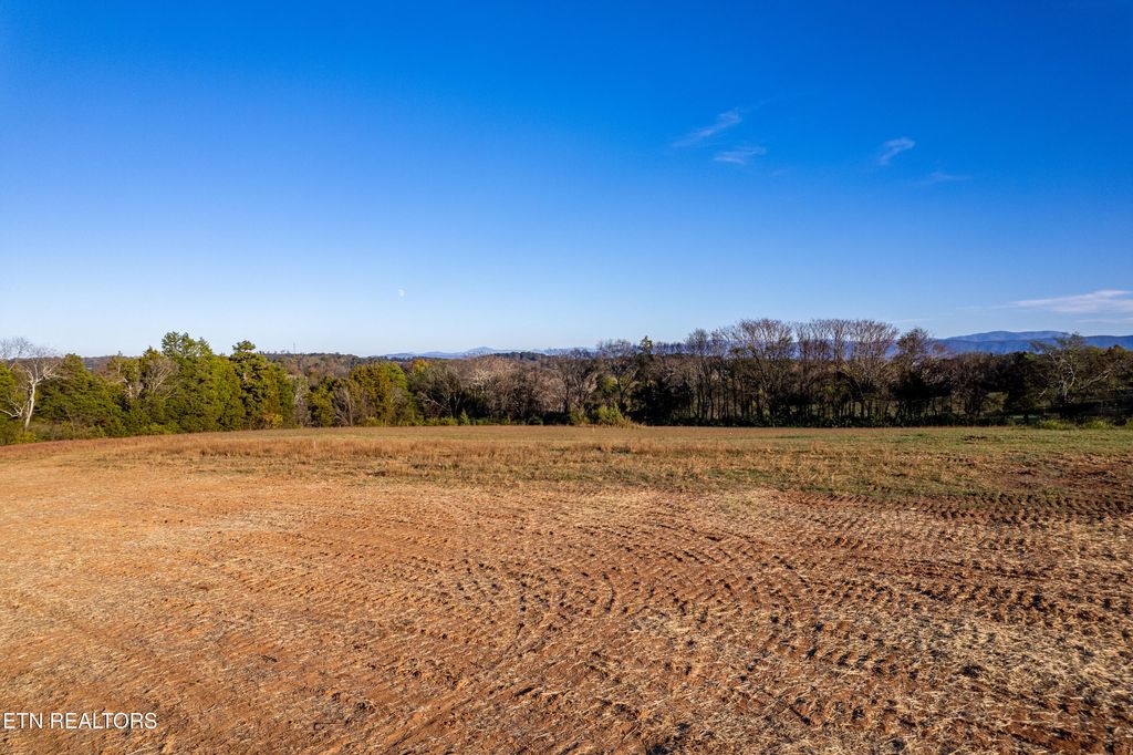 Photo of 351 Meadow Rd, Greenback, TN 37742 (MLS # 1284173)