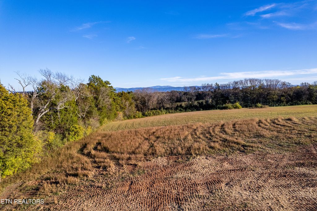 Photo of 351 Meadow Rd, Greenback, TN 37742 (MLS # 1284173)