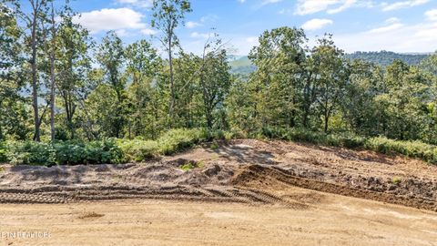Lot 107 Sommet Ridge East Tazewell TN 37879