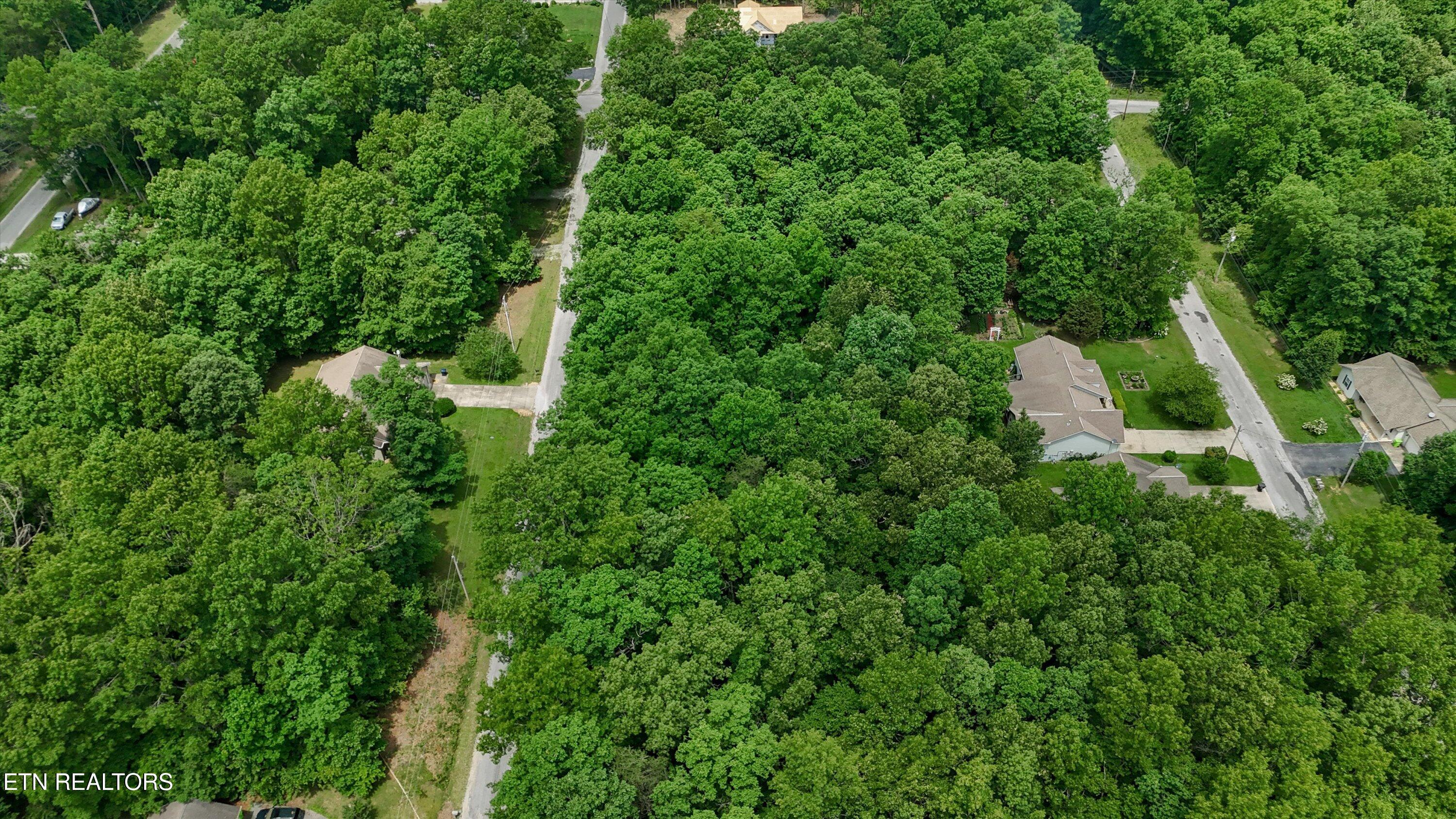 2109 Black Wolf Drive