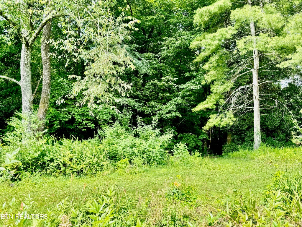 Photo of Robinson Lane, Decatur, TN 37322 (MLS # 1270818)