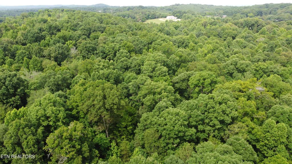 Photo of Robinson Lane, Decatur, TN 37322 (MLS # 1270818)