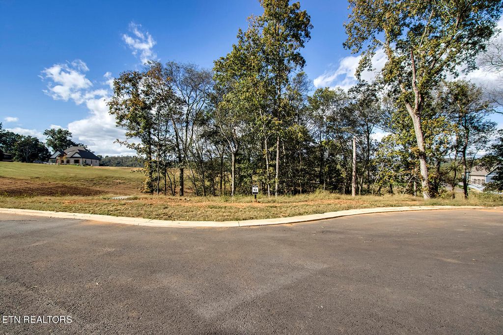 Photo of 173 Keho Court, Loudon, TN 37774 (MLS # 1243920)