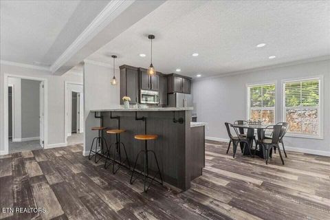 Tiny photo for 1629 Wasson Rd, Ten Mile, TN 37880 (MLS # 1340680)