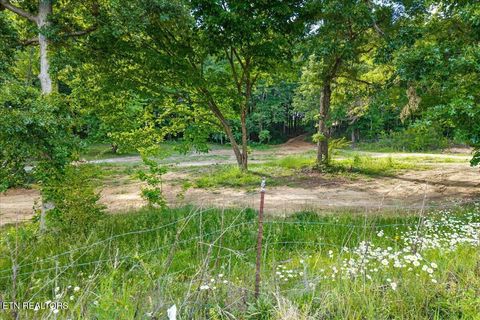 Tiny photo for 1629 Wasson Rd, Ten Mile, TN 37880 (MLS # 1340680)