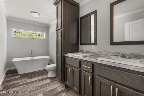 Tiny photo for 1629 Wasson Rd, Ten Mile, TN 37880 (MLS # 1340680)