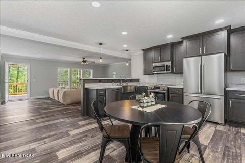 Tiny photo for 1629 Wasson Rd, Ten Mile, TN 37880 (MLS # 1340680)