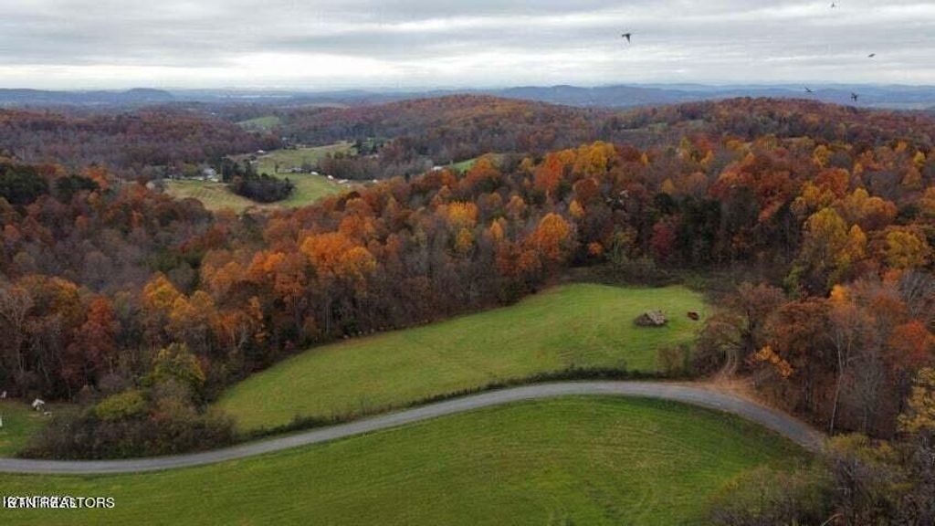 Photo of Smith Hollow Rd, Blaine, TN 37709 (MLS # 1249104)