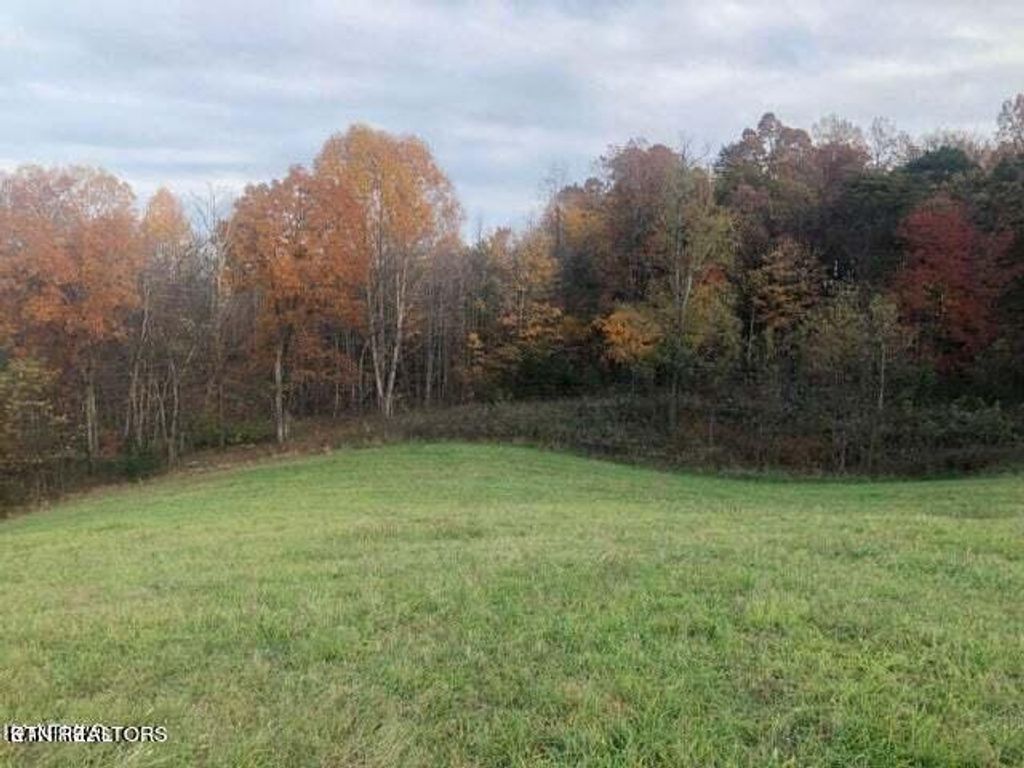 Photo of Smith Hollow Rd, Blaine, TN 37709 (MLS # 1249104)