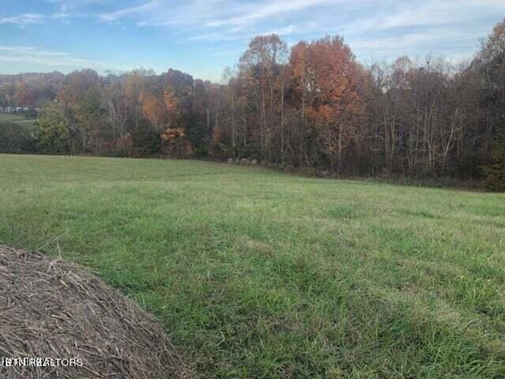 Photo of Smith Hollow Rd, Blaine, TN 37709 (MLS # 1249104)