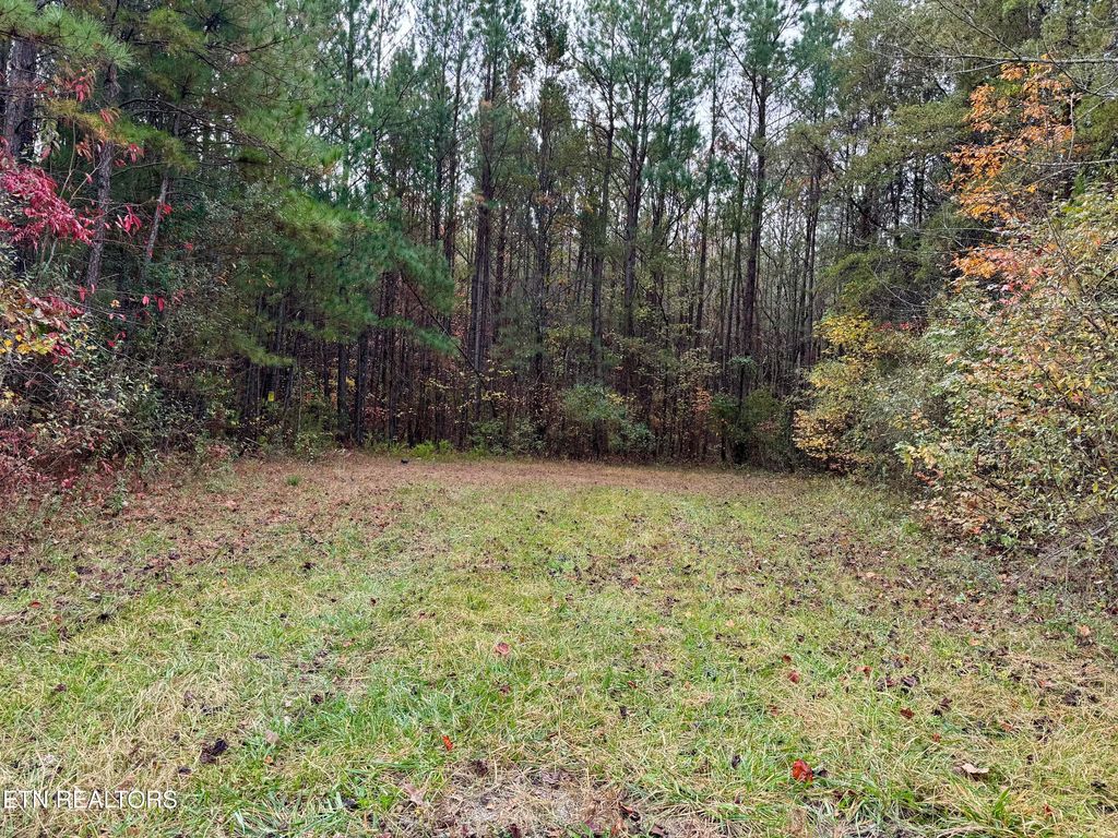 Photo of Airport Rd. Lot 9, Rockwood, TN 37854 (MLS # 1281345)