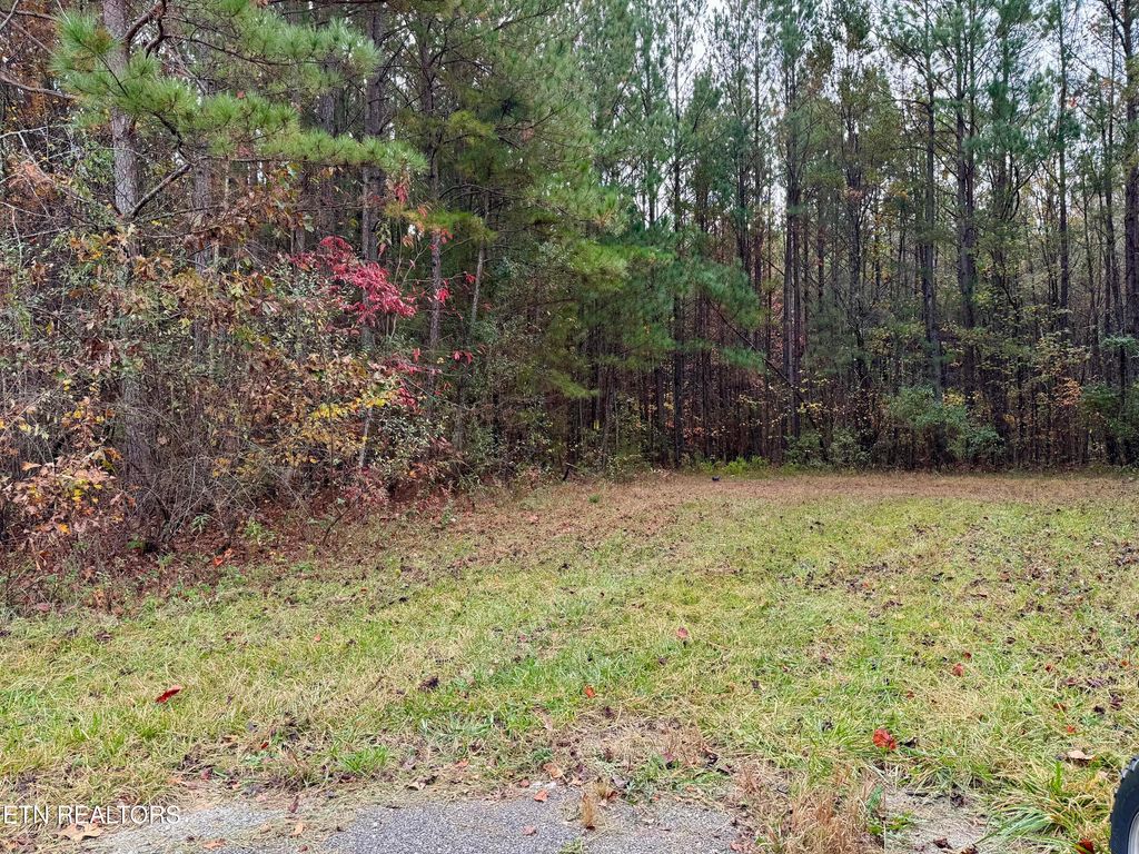 Photo of Airport Rd. Lot 9, Rockwood, TN 37854 (MLS # 1281345)