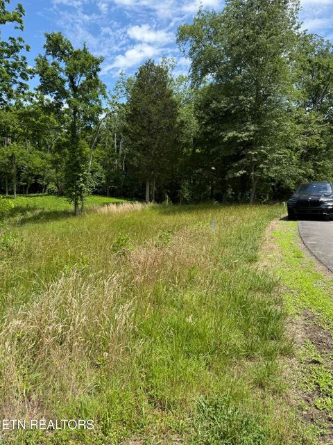 Tiny photo for 00 Walnut Bend Drive #27R, Whitesburg, TN 37891 (MLS # 1342905)