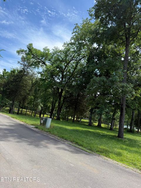 Tiny photo for 00 Walnut Bend Drive #27R, Whitesburg, TN 37891 (MLS # 1342905)