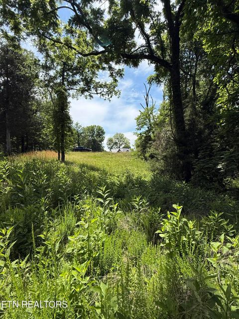 Tiny photo for 00 Walnut Bend Drive #27R, Whitesburg, TN 37891 (MLS # 1342905)