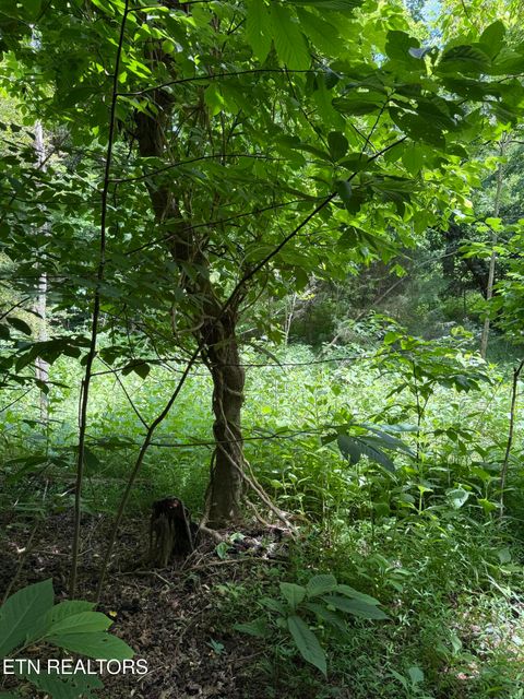 Tiny photo for 00 Walnut Bend Drive #27R, Whitesburg, TN 37891 (MLS # 1342905)
