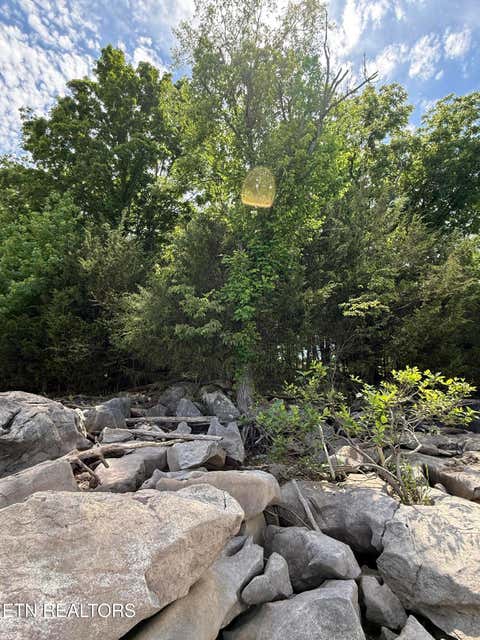 Tiny photo for 00 Walnut Bend Drive #27R, Whitesburg, TN 37891 (MLS # 1342905)