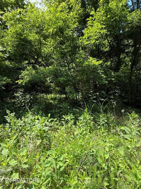 Tiny photo for 00 Walnut Bend Drive #27R, Whitesburg, TN 37891 (MLS # 1342905)