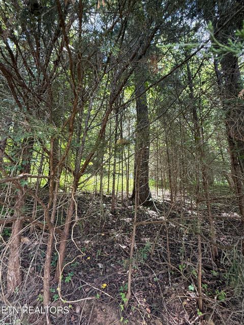 Tiny photo for 00 Walnut Bend Drive #27R, Whitesburg, TN 37891 (MLS # 1342905)