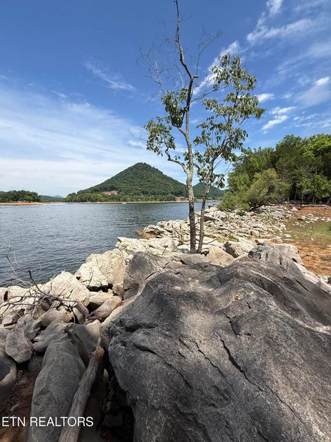 Tiny photo for 00 Walnut Bend Drive #27R, Whitesburg, TN 37891 (MLS # 1342905)