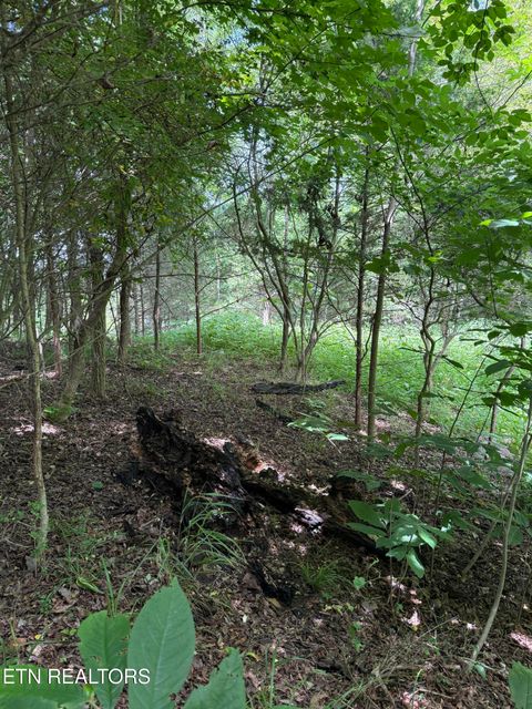 Tiny photo for 00 Walnut Bend Drive #27R, Whitesburg, TN 37891 (MLS # 1342905)