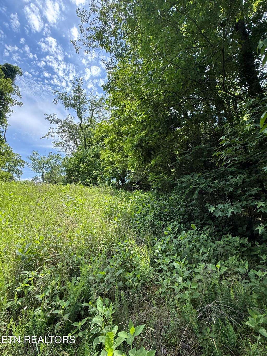 Photo of 00 Walnut Bend Drive #27R, Whitesburg, TN 37891 (MLS # 1342905)