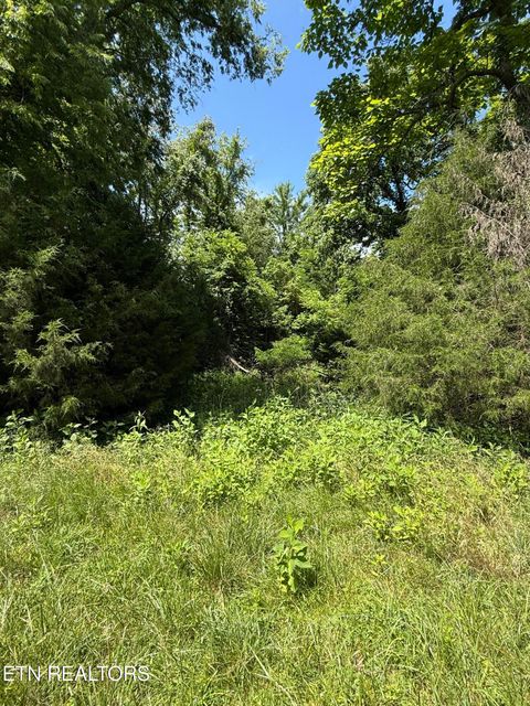 Tiny photo for 00 Walnut Bend Drive #27R, Whitesburg, TN 37891 (MLS # 1342905)