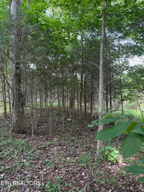 Tiny photo for 00 Walnut Bend Drive #27R, Whitesburg, TN 37891 (MLS # 1342905)